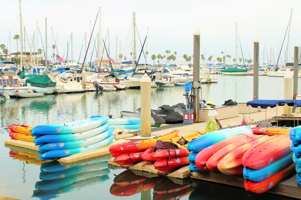 Where to Go Kayaking In & Around Oceanside Blog Article
